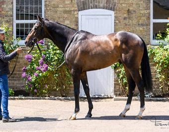 tattersals results|Tattersalls Online.